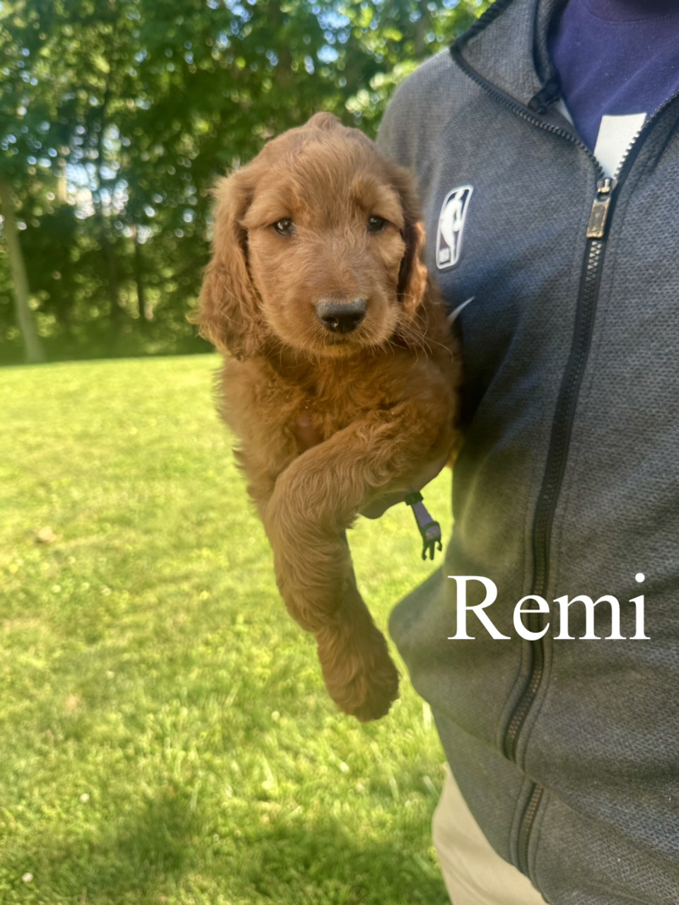 Remi 1